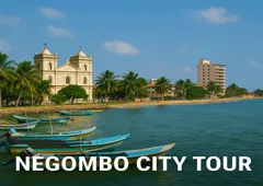 Negombo City Tour photo montage