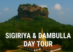 Sigiriya and Dambulla day tour scenery